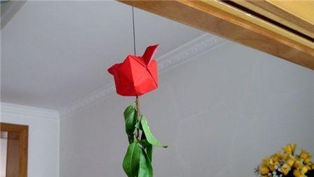 端午节的起源是什么时候(越南传统节日)