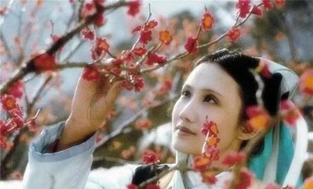 红楼梦中妙玉是一个什么样的人