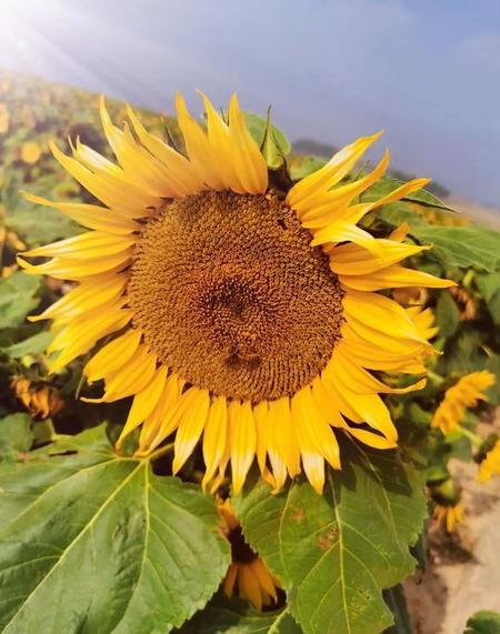 王力宏和李靓蕾怎么在一起的(王力宏和李靓蕾是怎么认识的)