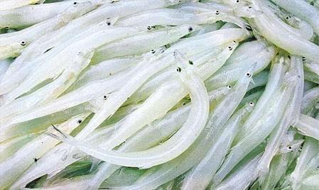 宝宝适合吃什么鱼(适合宝宝的鱼)