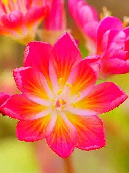 已经没有感情的婚姻还该不该维持(婚姻早已名存实亡)