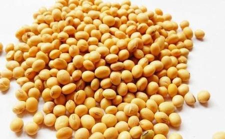 减肥要吃蛋白质含量高的食物有哪些