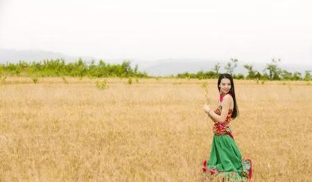 2022年什么时候收麦子(山东小麦几月份收割)