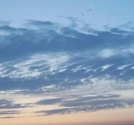 屈原跳江的原因是什么呢(屈原投江的真正原因)