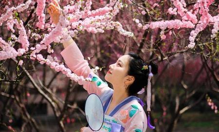 陆游和唐婉的爱情诗句(陆游与唐婉的爱情诗词)