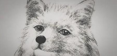 松鼠和狐狸读完这篇寓言我想对狐狸说(狐狸和松鼠的故事这篇寓言)