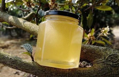 蜂蜜过期两年了还能不能吃(蜂蜜是世界上唯一一种不会变质)