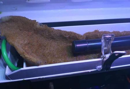 鱼缸过滤器要24小时一直开着吗?(鱼缸里面的过滤器要24小时开着吗)