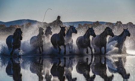 佳能1dx3什么时候上市(佳能相机1dx3)