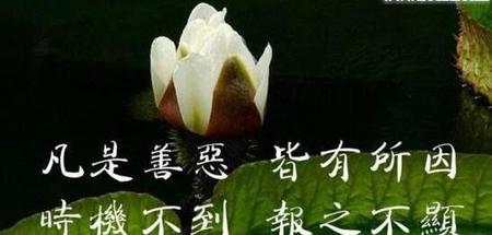 婆婆在外人面前很会装(婆婆喜欢在别人面前装好人)