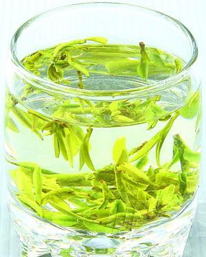 中国十大名茶分别是(中国九大名茶的冲泡方法)