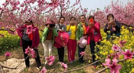 3月适合去哪里旅游(烟花三月下扬州全诗)