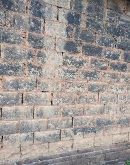 父母可以解除子女关系吗