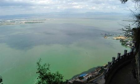 滇池有什么鱼(26种滇池土著鱼)