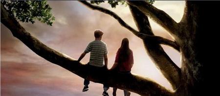 陪安东尼度过漫长岁月影评(陪安东尼度过漫长岁月豆瓣评分)