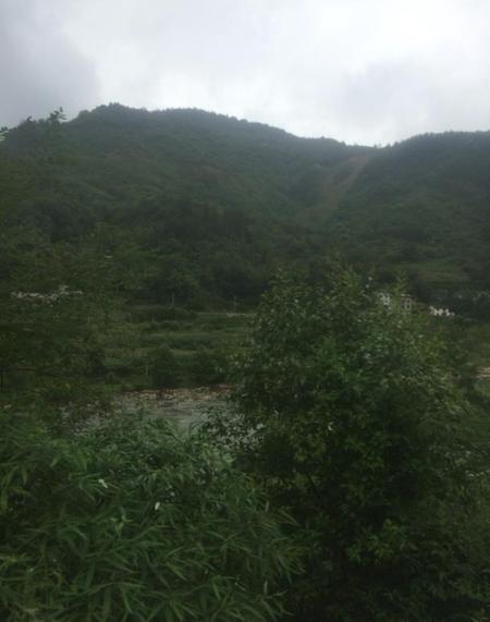 遇见曾经的恋人(梦见原先的恋人)