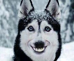 推荐最好看的灵异小说(经典耐看文笔好的灵异小说)