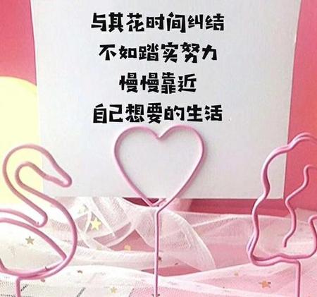 男孩子上大学,学什么专业比较好(丰富的社团活动,多彩的校园生活!)