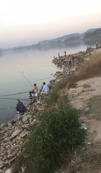 钓鱼奖励宝马视频全视频(钓鱼赢宝马)