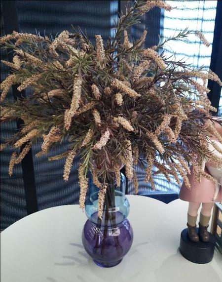 被渣男抛弃后(甜腻小米粥的小说)