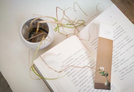 清浅了时光,美丽了流年什么意思