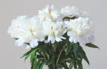 农历一月至十二月美称(孟冬为农历几月)