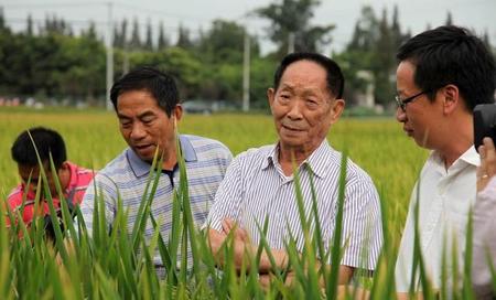 袁隆平是哪一年评的院士