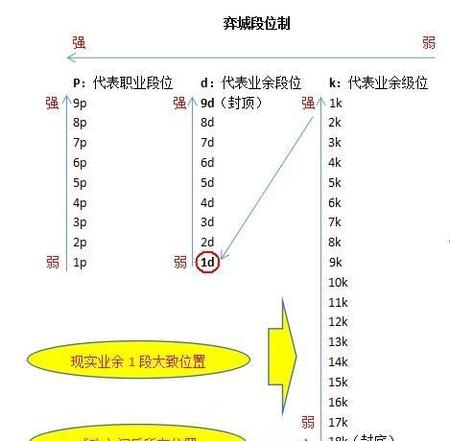 野狐围棋5段什么水平(围棋野狐是什么意思)