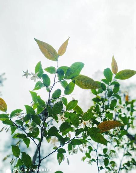 直的能被掰弯(直男不喜欢直女)