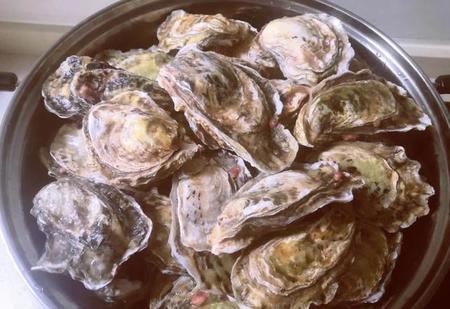 水煮生蚝最简单的做法窍门(海蛎子怎么吃好吃又简单)
