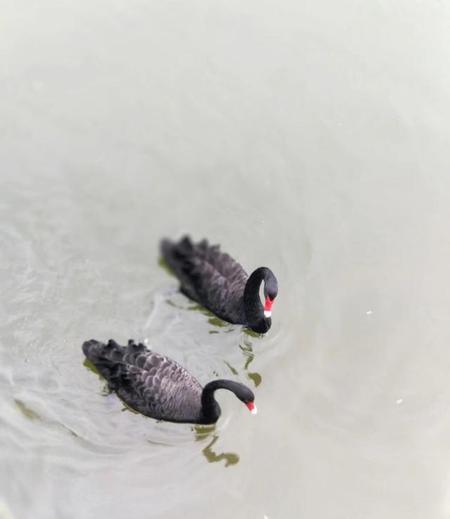 美好的爱情说说优美的句子(爱情的句子唯美短句浪漫唯美的爱情)