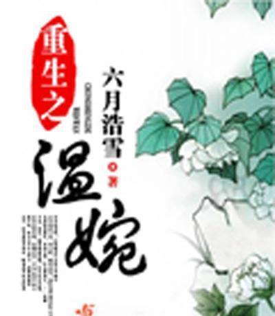 我写网络小说的那些年(已完结网络小说)