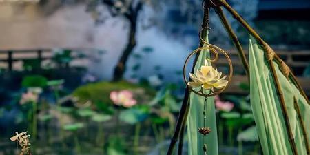 陈情令 蓝氏那么弱(陈情令蓝家家训内容)