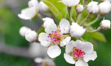 遇上渣男怀孕了咋办