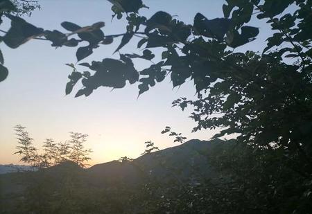 扫黑风暴开播了吗(孙红雷扫黑风暴什么时候上映)