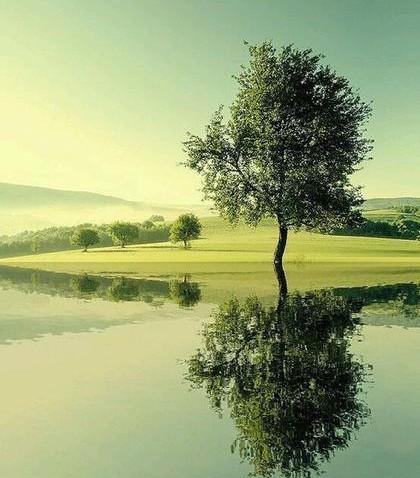 如果不是最好的结局,那么一定是未到最后(如果结局不好说明没有到最后)