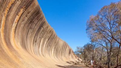 澳大利亚总面积多少平方公里(澳大利亚面积多少平方公里)