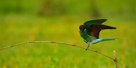 摩羯座的人性格怎么样(摩羯座性格怎么样?)