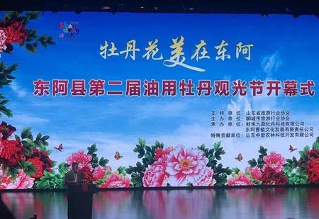 油用牡丹和观赏牡丹(牡丹产业发展前景)