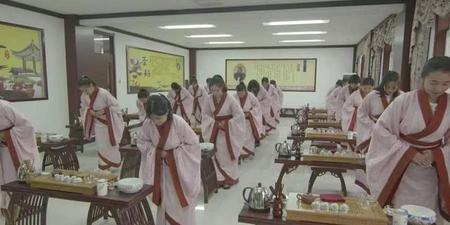 狐狸精是什么动物(狐狸打生肖)