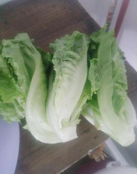 蔬菜之王是啥(白菜是不是蔬菜之王)