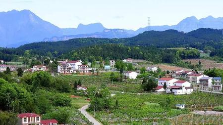 农村三十岁难找老婆了(农村没娶老婆打光棍)