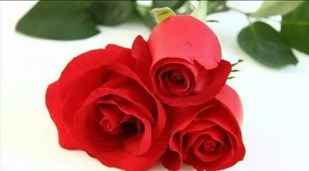 如果一个人真的爱你你是跑不掉的