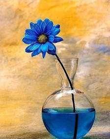 母亲节送给妈妈的一幅画