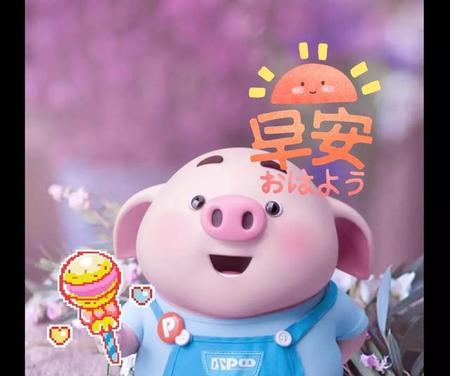 属猪的最怕什么属相