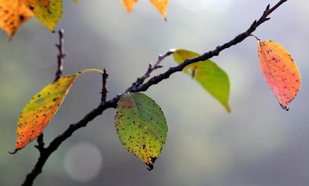 岁月句子唯美简短(岁月静好的唯美短句)