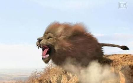 孙悟空大战青毛狮子怪(西游记里喜欢孙悟空的妖精)