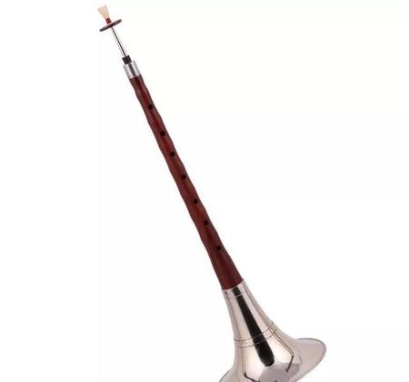 学唢呐难不难(唢呐自学好学吗)