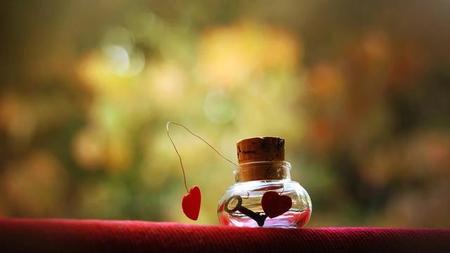 那些一辈子不结婚的人后来怎么样了(人这一辈子为什么要结婚呢)