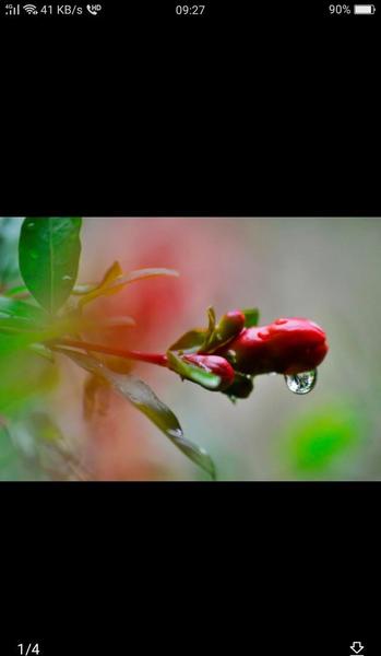 一个人入了心怎么忘(怎样才能忘记一个入了心的人)